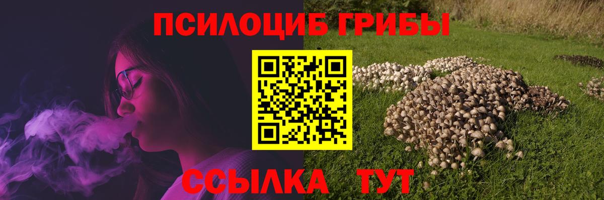 Псилоцибиновые грибы мухоморы  Вход с VPN  Знаменск 